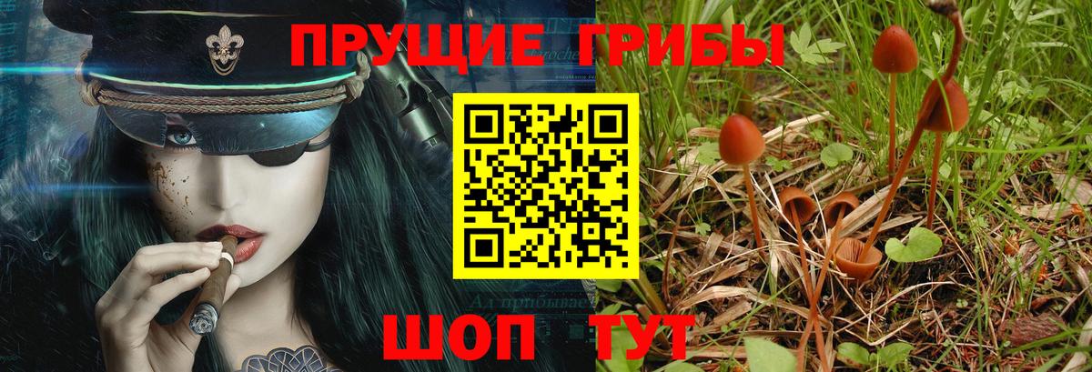 Заводоуковск  Псилоцибиновые грибы мицелий  где купить наркотик  Вход с VPN 